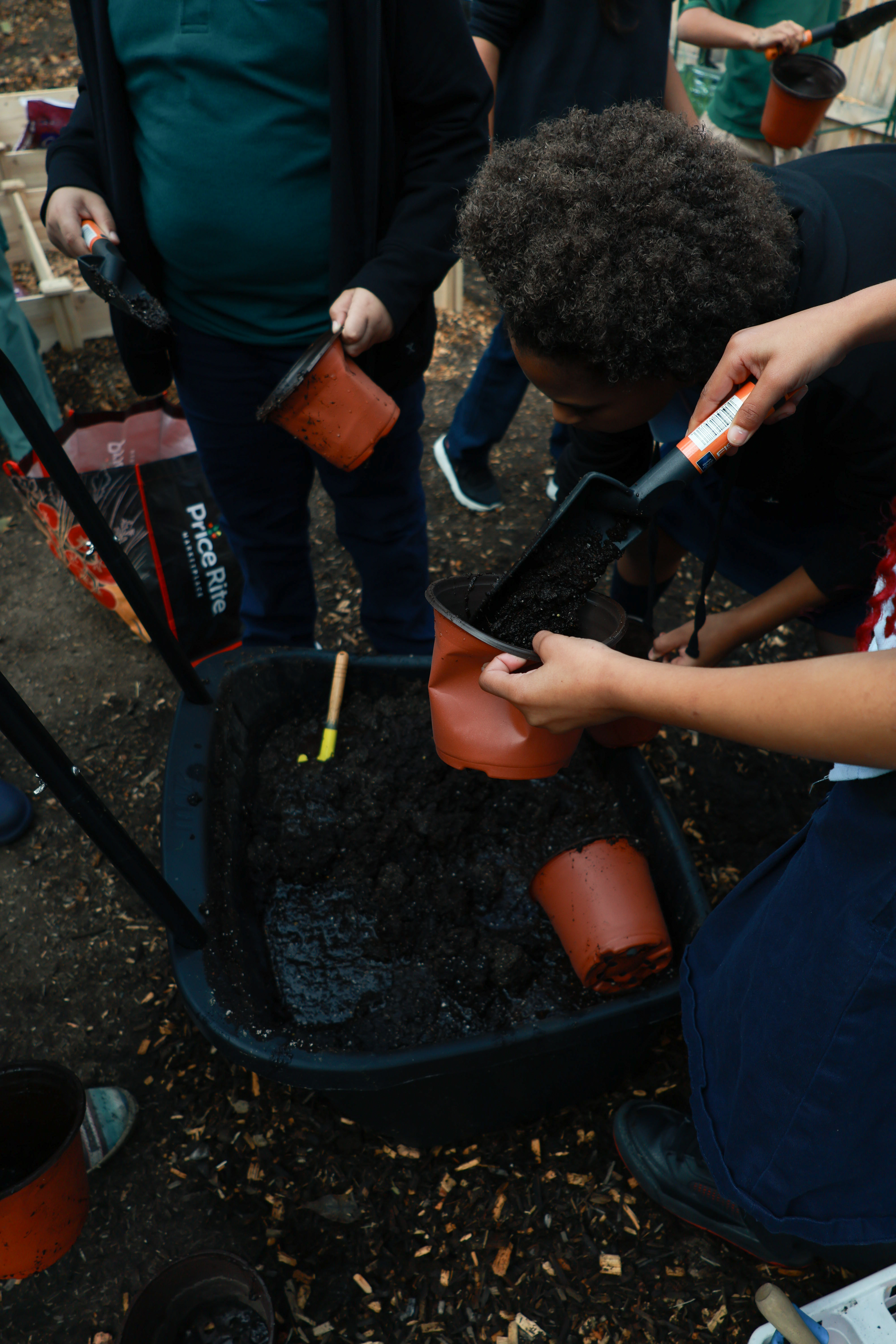 Photo taken from above a bucket of soil, with people shoveling the soil into smaller tan pots.