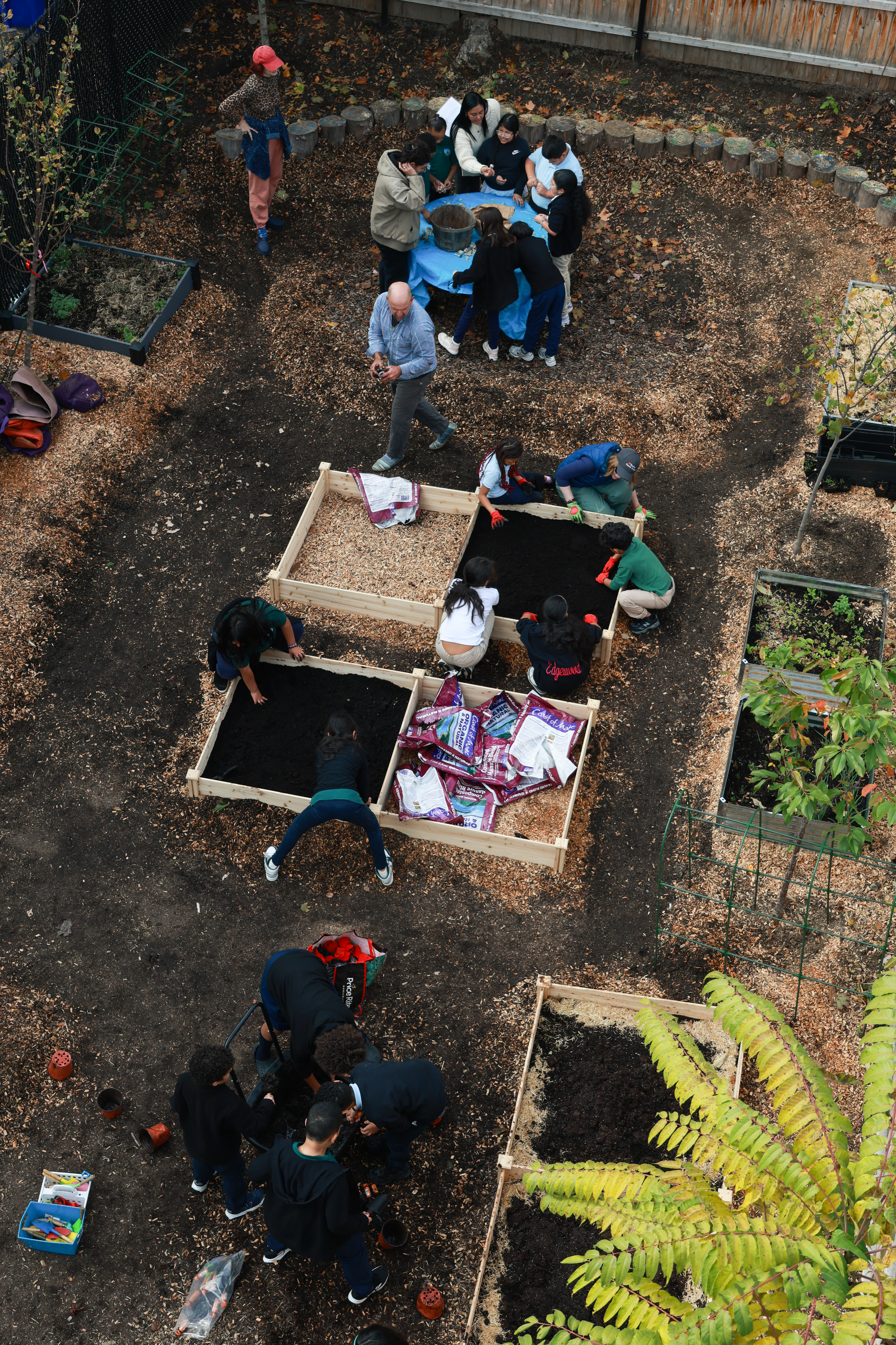 Aerial photo of students working on mulch and dirt-filled raised garden beds, with volunteers and school workers walking around them.