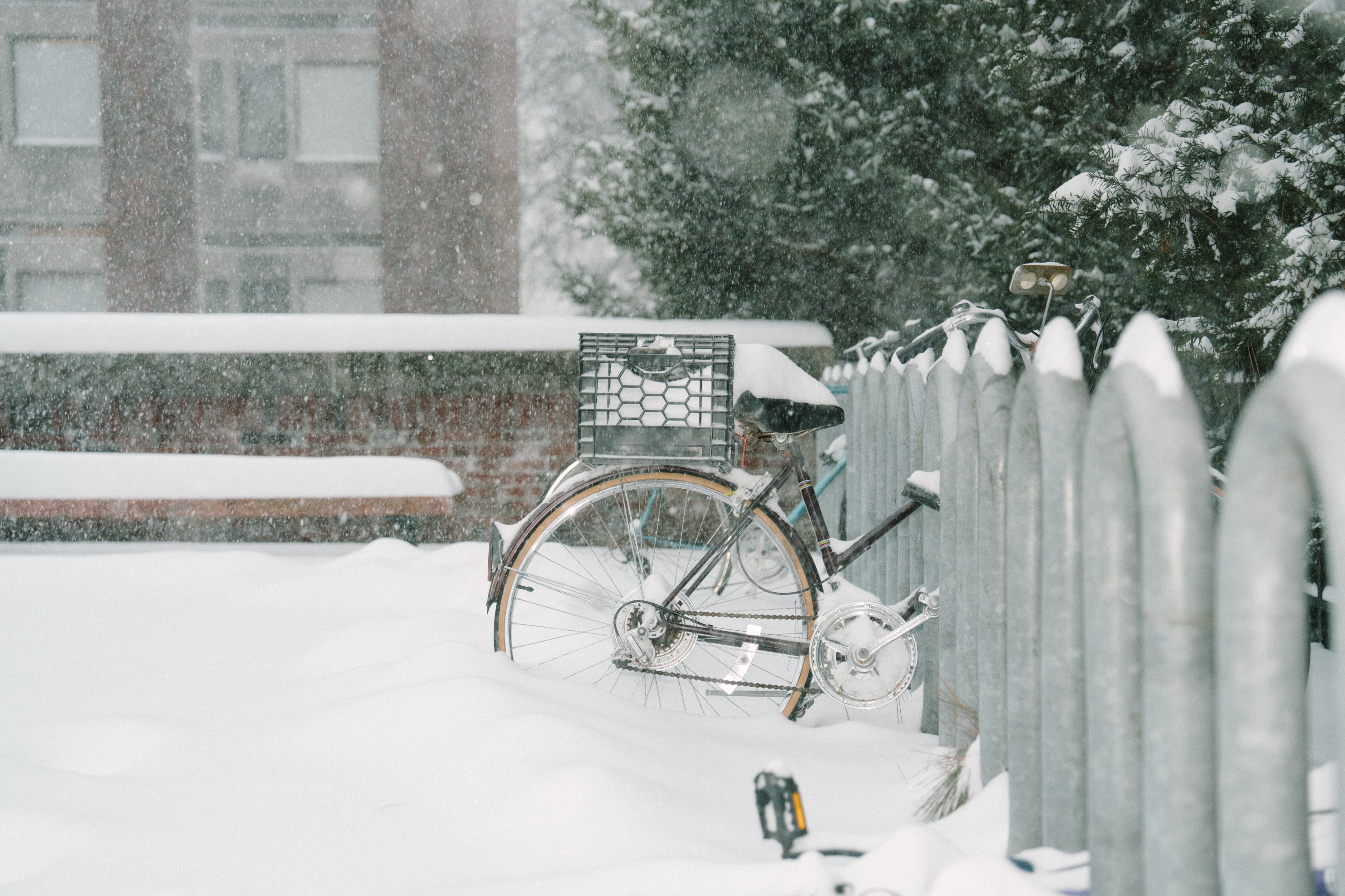 Photo of the back wheel of a bike covered in snow.