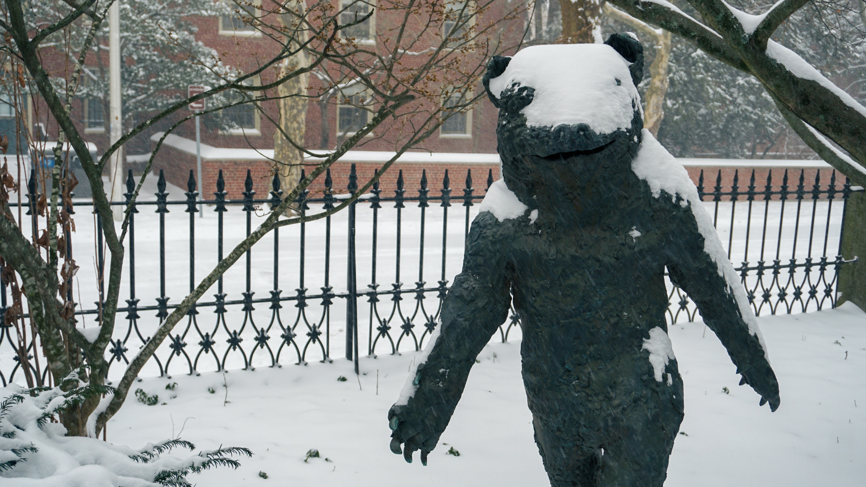 Photo of bear statue slightly obscured by piles of snow on its head.