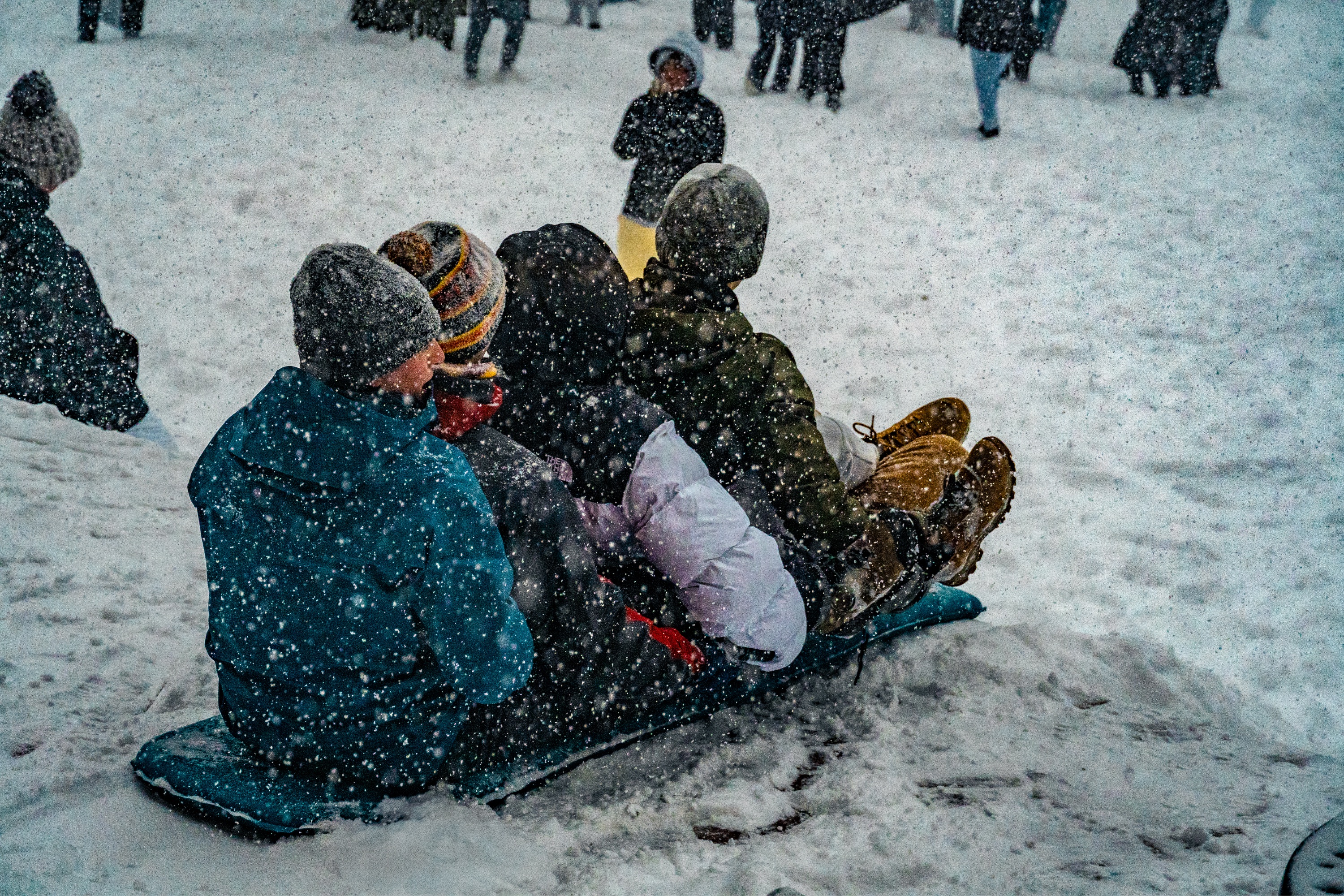 Photo of four students sledding down snow-covered steps. 