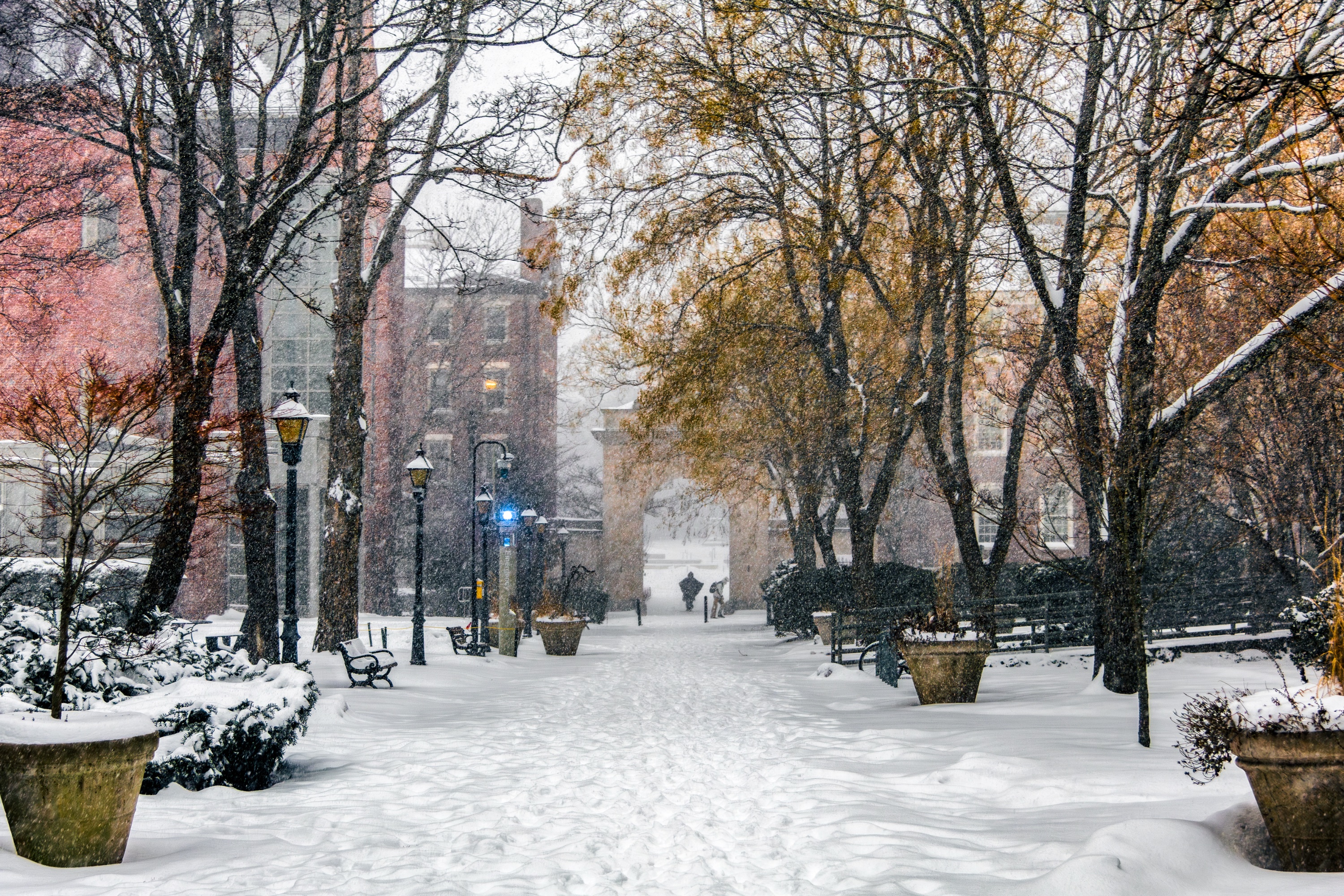 Photo of snowfall on a walkway that is bordered by trees with orange leaves.