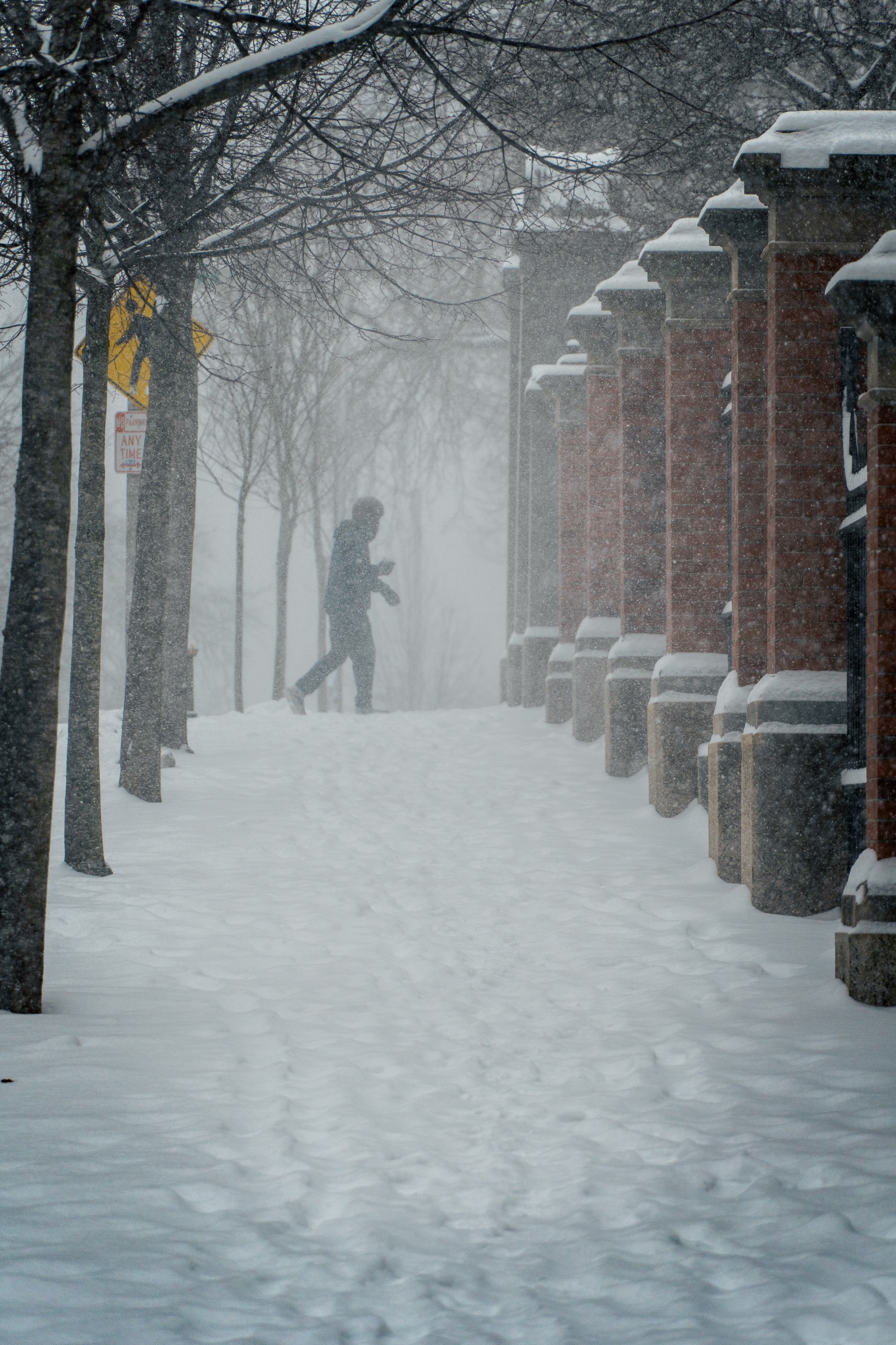 Photo from afar of a student walking towards the John Nicholas Brown gates.