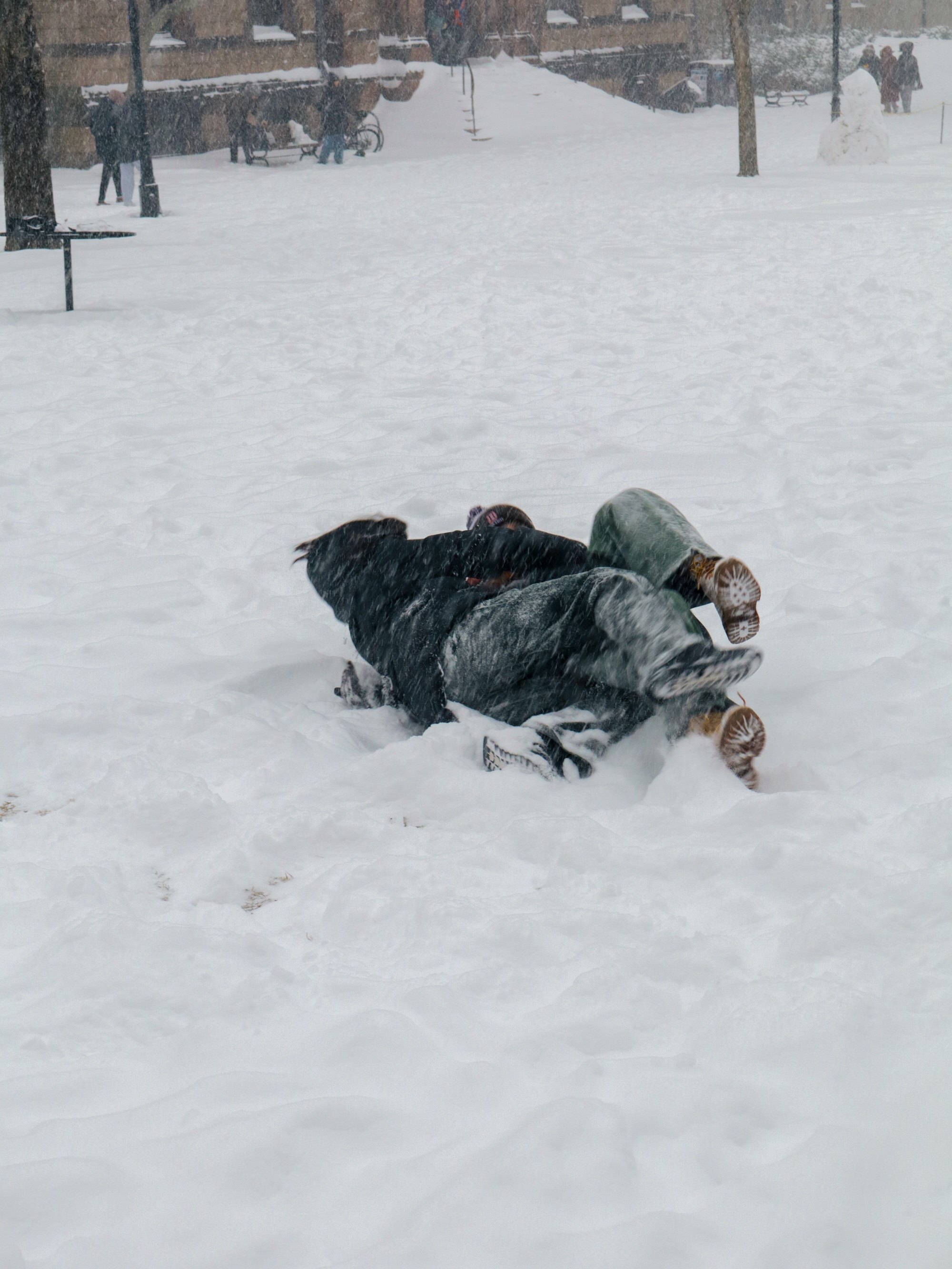 Photo of students wrestling in the snow on the Main Green.