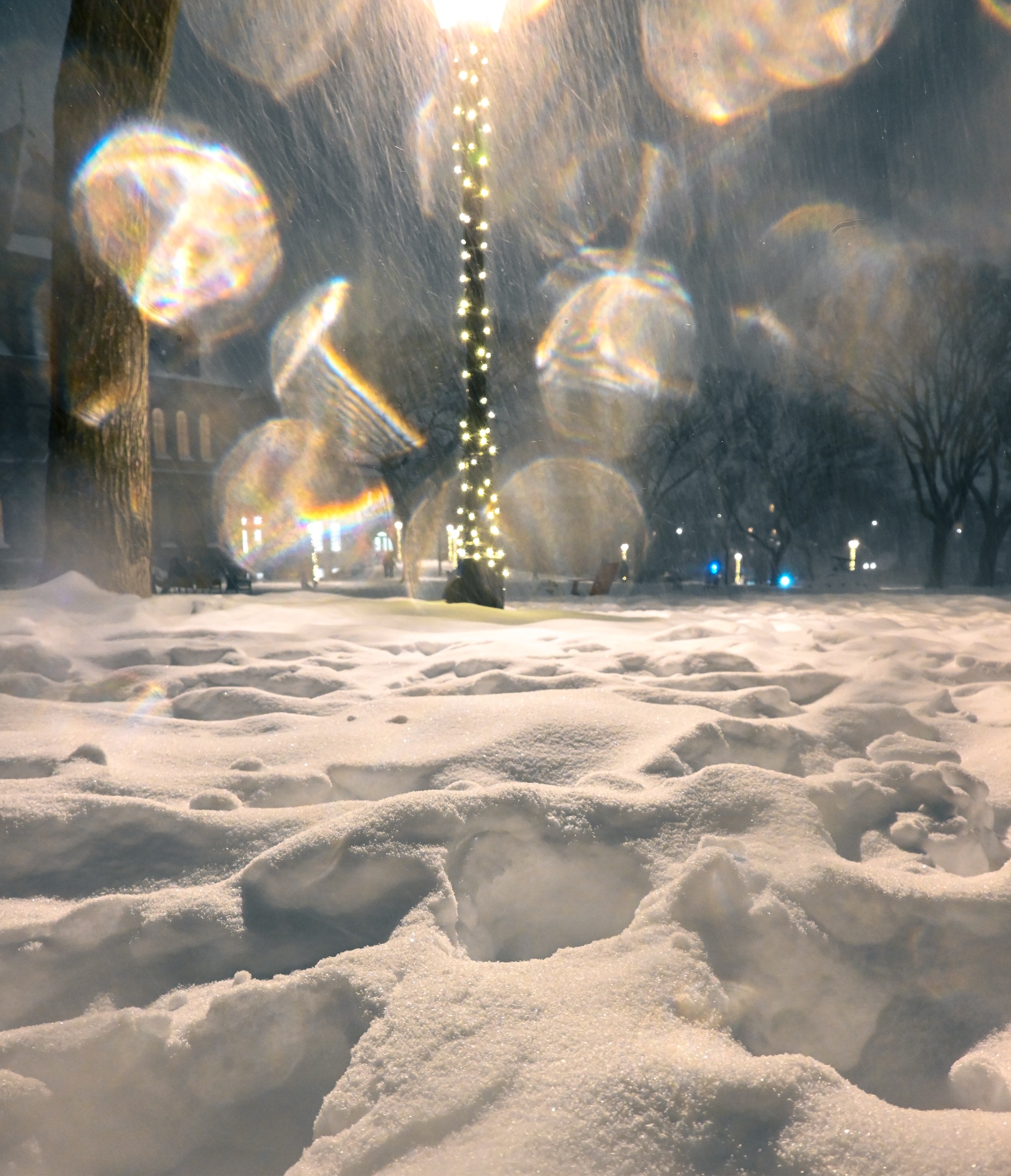 Photo of snow with fresh footsteps, illuminated by the lights wrapping lamp poles.