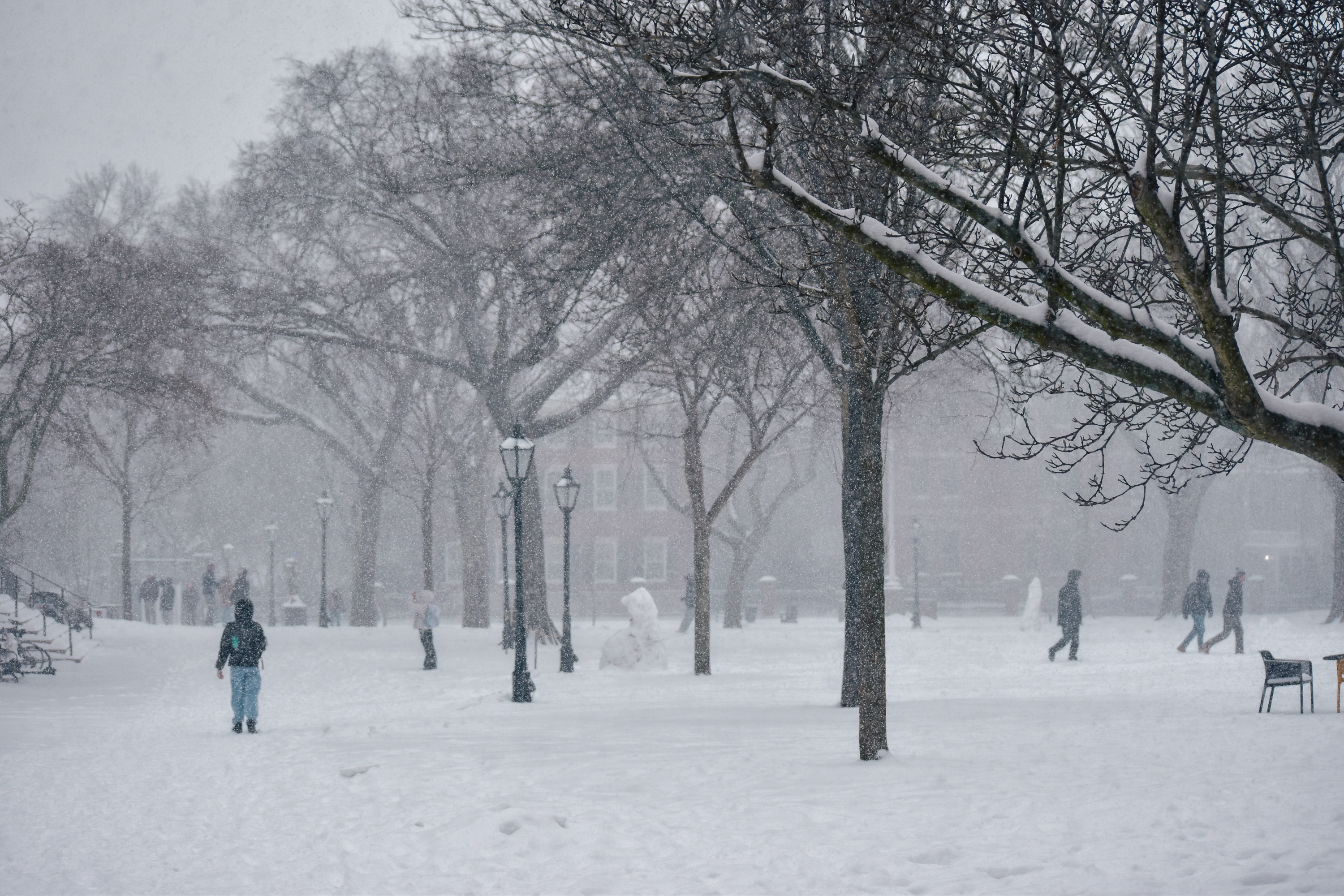 Photo of student walking on the main walkway of the Main Green, covered in snow.